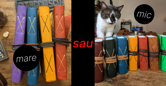 A5 sau A6? Ce format de jurnal să aleg?